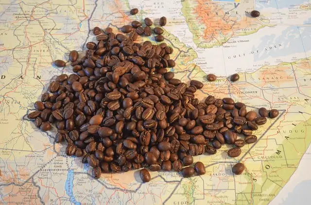 what-is-the-birthplace-of-coffee-solved-explained-2024