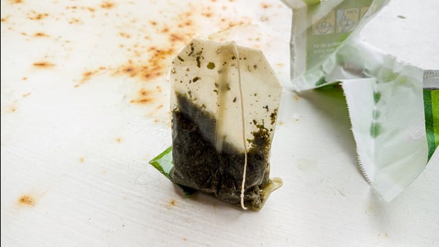 Can Tea Bags Grow Mold Solved Explained 2023 